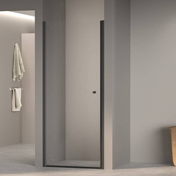 Душевая дверь Dolphin TN-03B, RGW 54930306-14