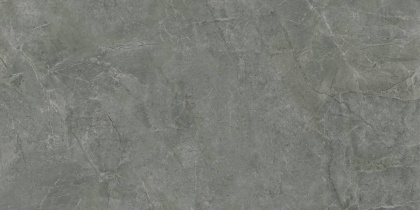Pluto Grigio Керамогранит серый SG50005320R 60х119,5 матовый Pluto Grigio Керамогранит серый SG50005320R 60х119,5 матовый