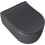 Чаша подвесного унитаза Allen Brau Priority 4.31002.AN антрацит Чаша подвесного унитаза Allen Brau Priority 4.31002.AN антрацит