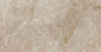 Керамогранит MO08 30,6x60,9x8 Непол. Керамогранит MO08 30,6x60,9x8 Непол.