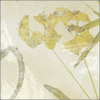 Плитка Kasbah Mix Ocre 13х13 Плитка Kasbah Mix Ocre 13х13