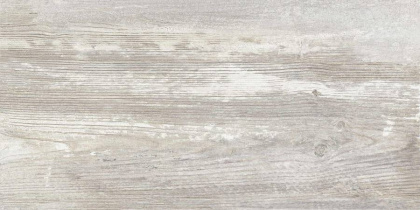 GT225VG Керамогранит Antares_GT Сер. 30x60  1\58,32