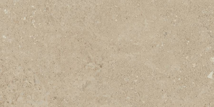 Керамогранит NP02 30,6x60,9x8 Непол.