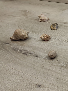 Кварц-виниловый ламинат SPC Aspenfloor Natural Touch NT3-04 Дуб Снежный 4V (5,5мм//2,245м2) (1 220мм*184мм), м2 Кварц-виниловый ламинат SPC Aspenfloor Natural Touch NT3-04 Дуб Снежный 4V (5,5мм//2,245м2) (1 220мм*184мм), м2