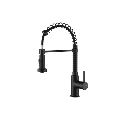 Смеситель для кухни 2 jet (профессиональный) AQUATEK, матовый черный AQ1387MB ЕВРОПА Смеситель для кухни 2 jet (профессиональный) AQUATEK, матовый черный AQ1387MB ЕВРОПА