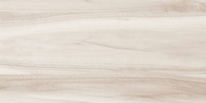 6260-0074-1001 Плитка грес глаз. Блисс_LB Светло-беж. 60,3*30 _ 1 \46,08