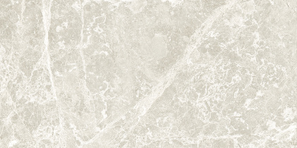 GT209VG Настенная плита Action_GT светло-сер. 30x60 _ 1\58,32