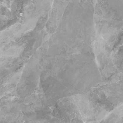 Regnum Grigio Керамогранит серый CR6060G0401R 59,5х59,5 матовый