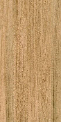 Мозаика GREENWOOD GREAT 60*120 (2 шт-1,44 м2)