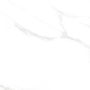 Carrara Excellent Silver Керамогранит белый 60х60 Матовый Carrara Excellent Silver Керамогранит белый 60х60 Матовый