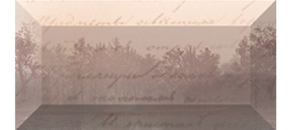 Classics Бордюр рельефный br1020D199-1 20х10 Classics Бордюр рельефный br1020D199-1 20х10