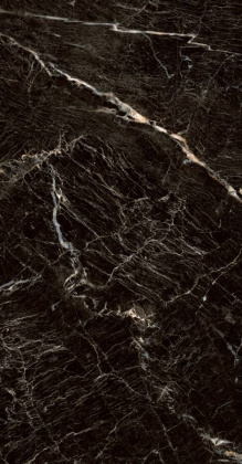 PGT1206010105MGR Керамогранит Zebrano_PGT Черн. 60x120 _ 1\46,08