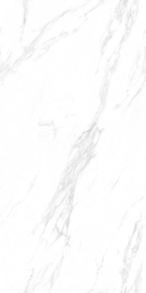 Керамогранит 1157 glossy 60х120 Керамогранит 1157 glossy 60х120