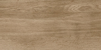 6260-0211 Керамогранит Nostrum_GT Бежевый 30x60 _ 1\46,08 6260-0211 Керамогранит Nostrum_GT Бежевый 30x60 _ 1\46,08