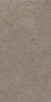 Дискавер Дезерт 60X120 Рет