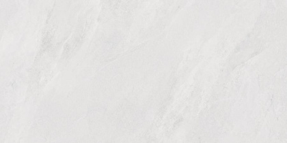 Porter Silver PRO Керамогранит светло-серый LP6012G0171R 59,5х119,1 матовый карвинг R10 STR