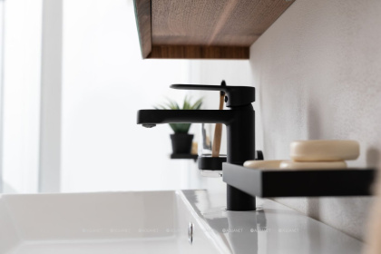 Смеситель для раковины Aquanet Passion AF300-10B