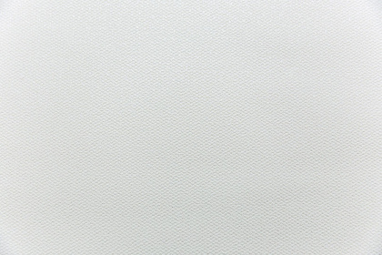 Обои виниловые Ренессанс база, белый