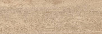 Керамогранит G-250/SR/200x600x8 GRASARO 20х60