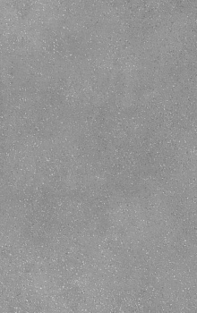 Плитка Misty grey 25х40