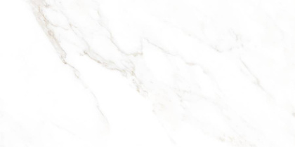 Calacatta Michael Керамогранит белый 60х120 лаппатированный шайн