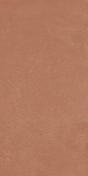 Керамогранит Argillae Coral Rect 60х120