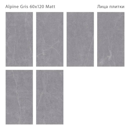 Керамогранит матовый ALPINE GRIS 60x120 MATT, Silk 60х120