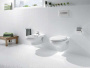 Унитаз подвесной Roca Victoria 34630300R Унитаз подвесной Roca Victoria 34630300R
