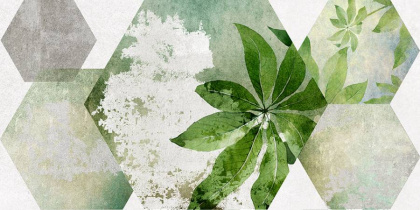 Плитка настенная 34090 Focus зеленый ботаника 25*50 (12шт/1,5м2),м2