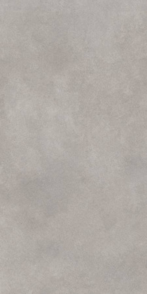 GT1206017701MR Керамогранит Cassini_GT Серый 60x120 _ 1\46,08