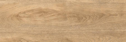 Керамогранит G-251/SR/200x600x8 GRASARO 20х60