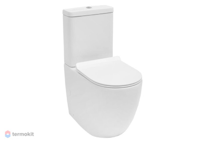 Чаша напольного унитаза Aquanet Rimless Cetus-C1 BL-102N-TPT