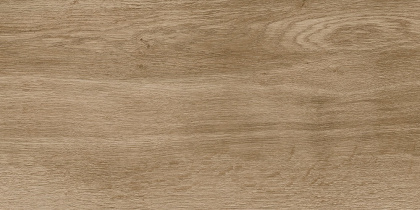 6260-0211 Керамогранит Nostrum_GT Бежевый 30x60 _ 1\46,08 6260-0211 Керамогранит Nostrum_GT Бежевый 30x60 _ 1\46,08