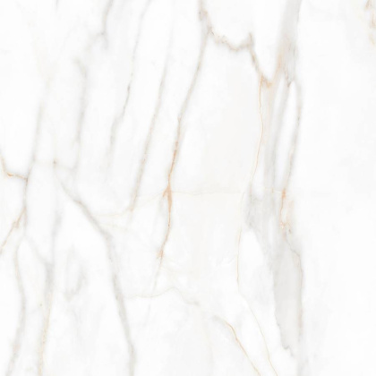 SM02 60x60x10 Полир. (Керамический гранит)