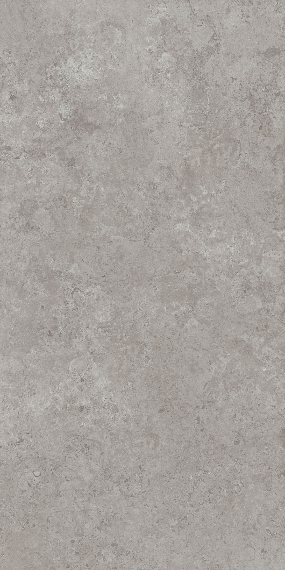 Керамогранит DD590600R Про лаймстоун АТ серый (238,5см*119,5см*11мм) (15шт/42,751м2) камень, м2