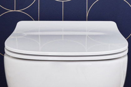 Крышка-сиденье E70025-00 Jacob Delafon Struktura Белый Быстросъемное сиденье, шт