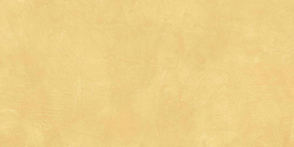 SR04 60x120х10 Непол.Рект. (Керамический гранит)