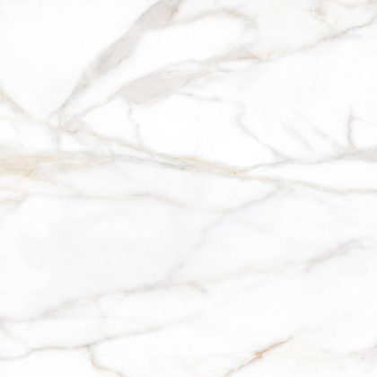 SM02 60x60x10 Полир. (Керамический гранит)