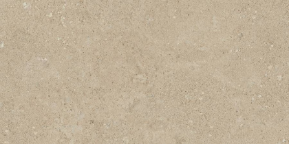 Керамогранит NP02 30,6x60,9x8 Непол. Керамогранит NP02 30,6x60,9x8 Непол.