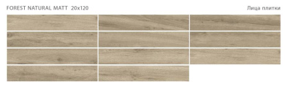 Керамогранит матовый FOREST NATURAL 20x120 MATT, Forest