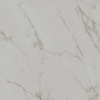 Монте Тиберио серый светлый матовый обрезной 119,5x119,5x1,1