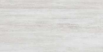 GT43VG Плитка облиц. Silvia Сер. 50*25 _ 1 \74,25