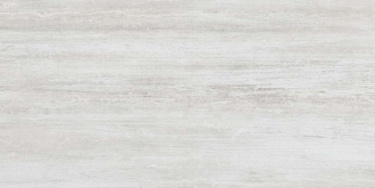 GT43VG Плитка облиц. Silvia Сер. 50*25 _ 1 \74,25