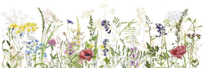 Вставка Flora bloom 20х60 Вставка Flora bloom 20х60