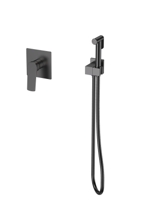 Смеситель Splenka с гигиеническим душем встраиваемый S30.53