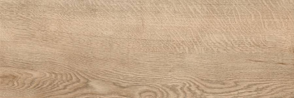 Керамогранит G-250/SR/200x600x8 GRASARO 20х60