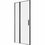 Душевая дверь Allen Brau Priority 90 3.31027.BBA черный браш