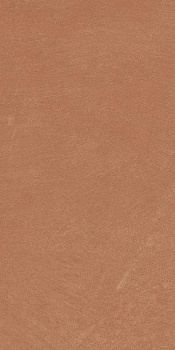 Керамогранит Anti-Slip Argillae Coral Rect 30х60