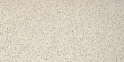 GT301М 600х1200 матовый