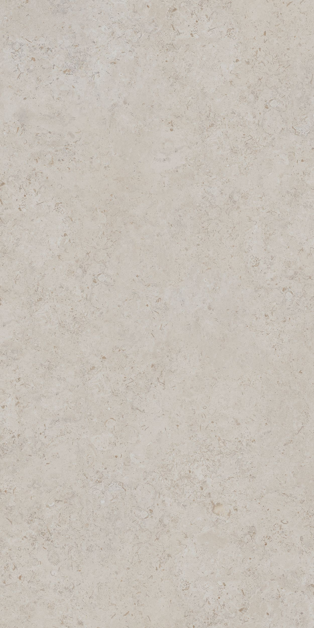 Керамогранит DD590400R Про лаймстоун АТ бежевый (238,5см*119,5см*11мм) (15шт/42,751м2) камень, м2 Керамогранит DD590400R Про лаймстоун АТ бежевый (238,5см*119,5см*11мм) (15шт/42,751м2) камень, м2